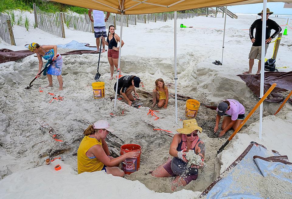 Volunteers and researchers from the St. Augustine Lighthouse Archaeological Maritime Program dig on the beach, north of the Matanzas Beach ramp, in August 2020 to study what is believed to be the wreck of a 19th-century cargo vessel.