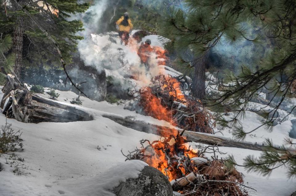 A fallen tree separates burning piles of forest debris as two firefighters make their way up a hill to ignite more at a prescribed burn at Van Sickle Bi-State Park near South Lake Tahoe on Thursday, Feb. 11, 2021. This material was cut and piled two seasons ago and now we are coming back, when conditions are right, to burn it and reduce the fuel loading in this area, said Milan Yeates, forest management coordinator at the California Tahoe Conservancy.