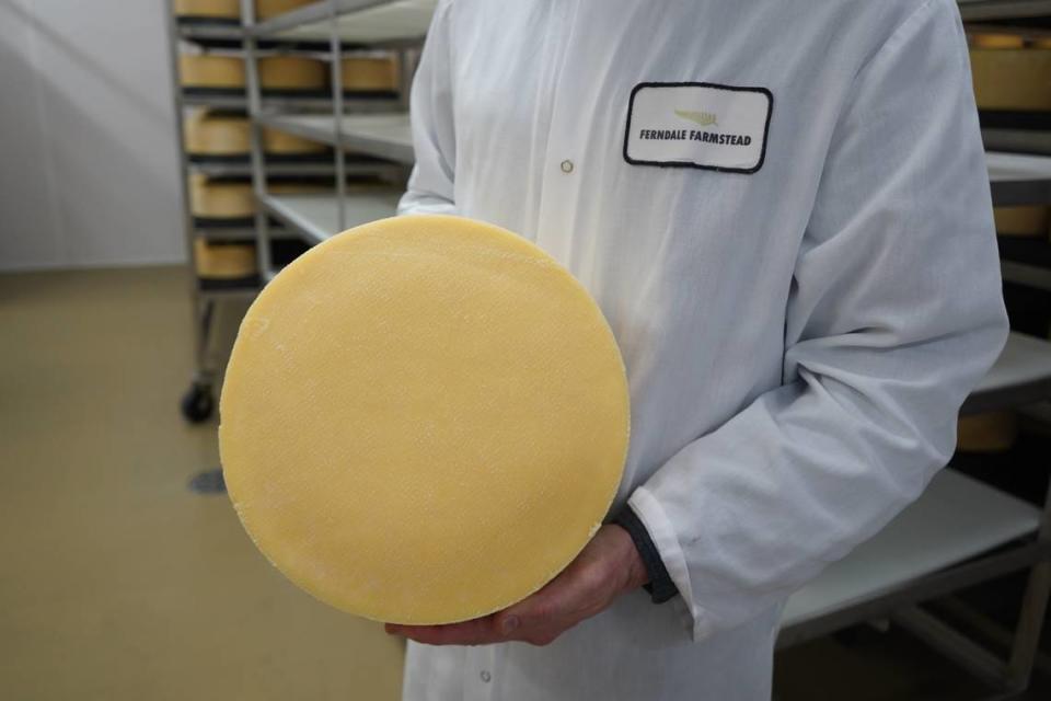Daniel Wavrin, cheese artisan and co-founder of Ferndale Farmstead, holds a wheel of cheese on March 28, 2024, in Ferndale, Wash.
