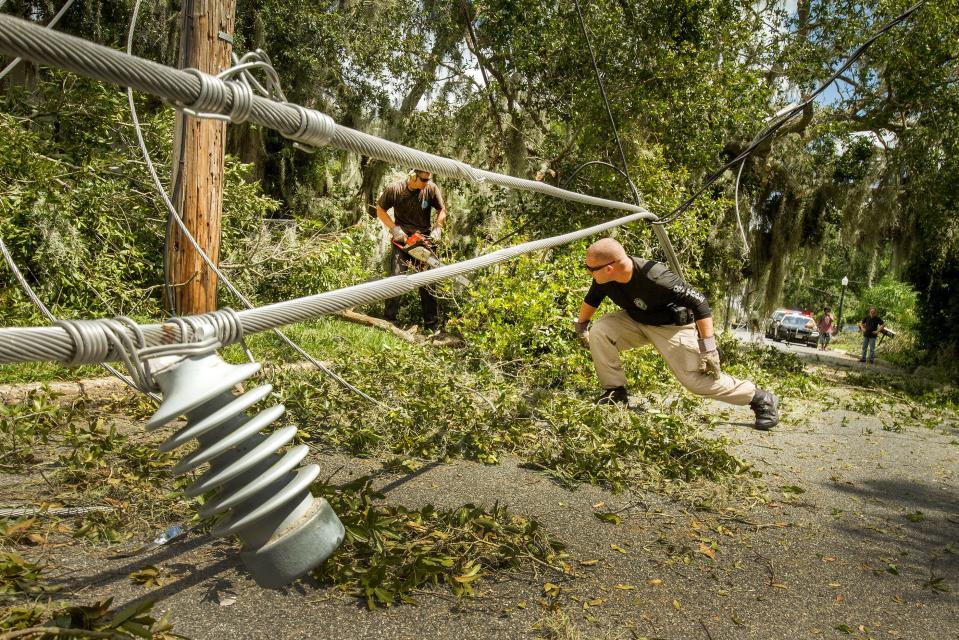 Florida Highway Patrol Troop C Cpl. Kevin Hamilton ducks under a power line to pickup tree limbs that crashed on a car at 323  Park Ave. in the Dixieland area of Lakeland after Hurricane Irma.