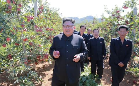 North Korean leader Kim Jong Un gives field guidance during a visit to a fruit orchard in Kwail county, South Hwanghae province - Credit: Reuters