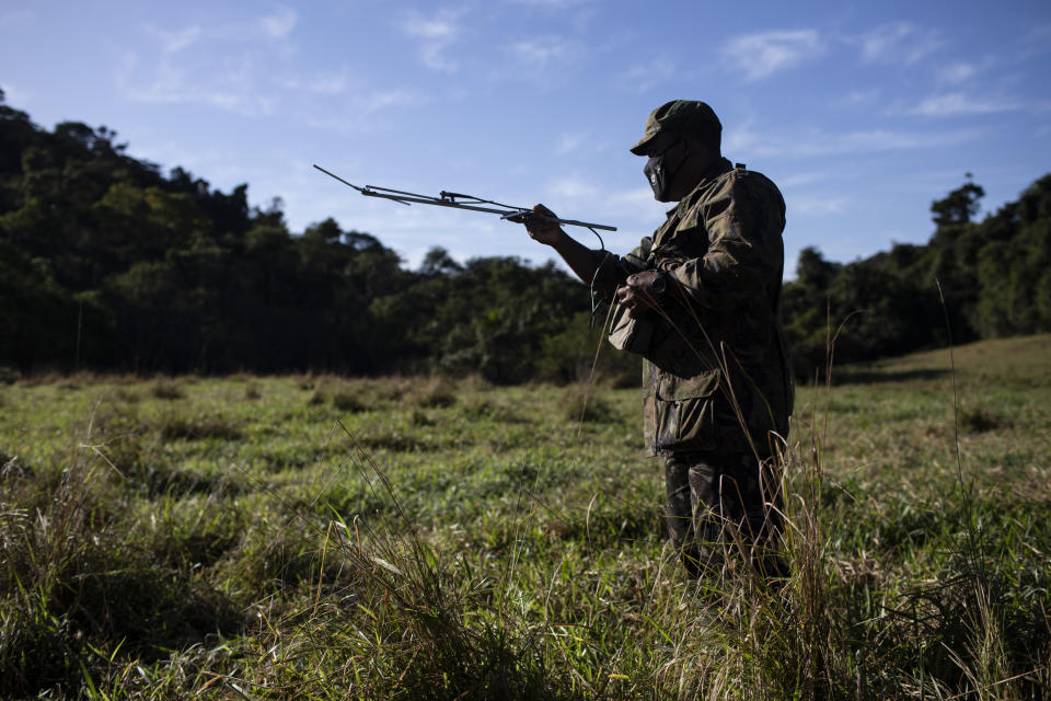 Research assistant Ademilson de Oliveira uses a telemetry device to locate golden lion tamarins in the Atlantic Forest region of Silva Jardim, Rio de Janeiro state, Brazil, Friday, July 8, 2022. Many golden lion tamarins are descendants of animals carefully released in 1984, in cooperation with local landowners. That effort and subsequent campaigns to replant and connect parcels of rainforest, has seen the population of tamarins slowly recover. (AP Photo/Bruna Prado)