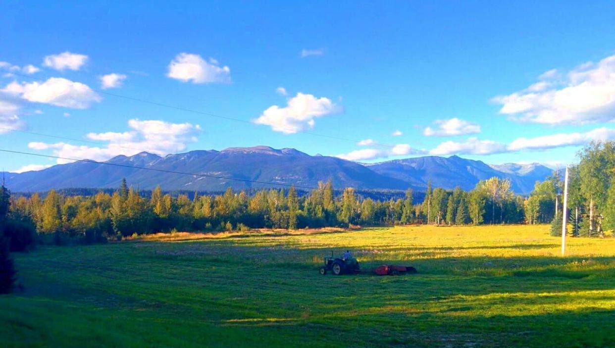 A file image of the Robson Valley southeast of Prince George, B.C. The province raised the drought level in the area to Level 5 — the highest on the scale — on Sept. 14. (Mountain Valley Music Festival/Facebook - image credit)