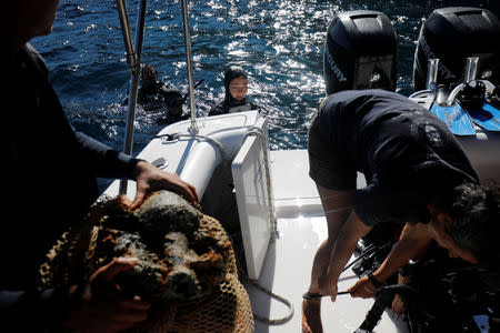 Student of the Department of Conservation of Antiquities and Works of Art Helen Margarita Bardas, 25, prepares to come onboard after a dive at a shipwreck site on the island of Fournoi, Greece, September 19, 2018. Picture taken September 19, 2018. REUTERS/Alkis Konstantinidis