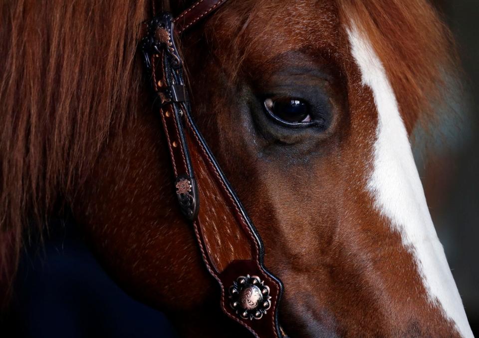 The fire destroyed a barn and at least 43 horses were known dead.