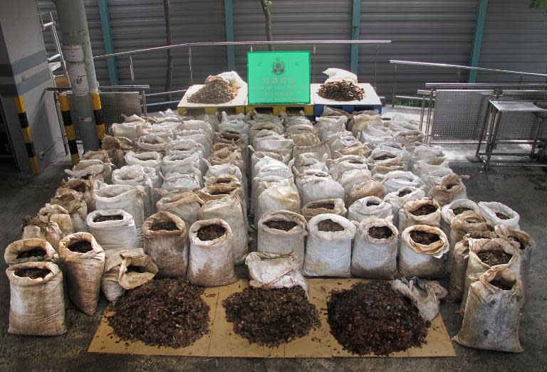 This picture taken on June 16, 2014 and relased by the government's Information Services Department shows seized pangolin scales displayed in Hong Kong