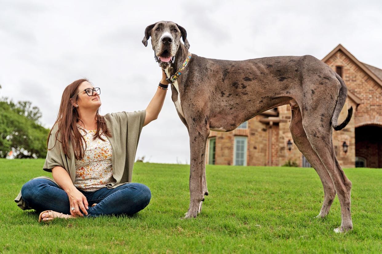 owner sitting next to her Guinness World's Tallest Dog