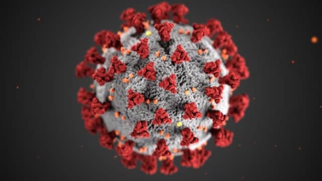 Scientists' illustration of the coronavirus.