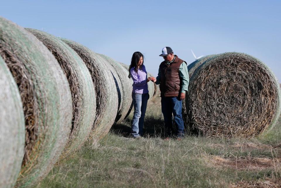 From left, Yuleida Serrato and her father, Amaldo Serrato look over some of the hay from the hay bales that will eventually be sold. The Serrato family own and run their multigenerational family farm in and around Floydada. Amado Serrato, his wife and father came to the United States, where they and their American born kids have created a successful agricultural business.