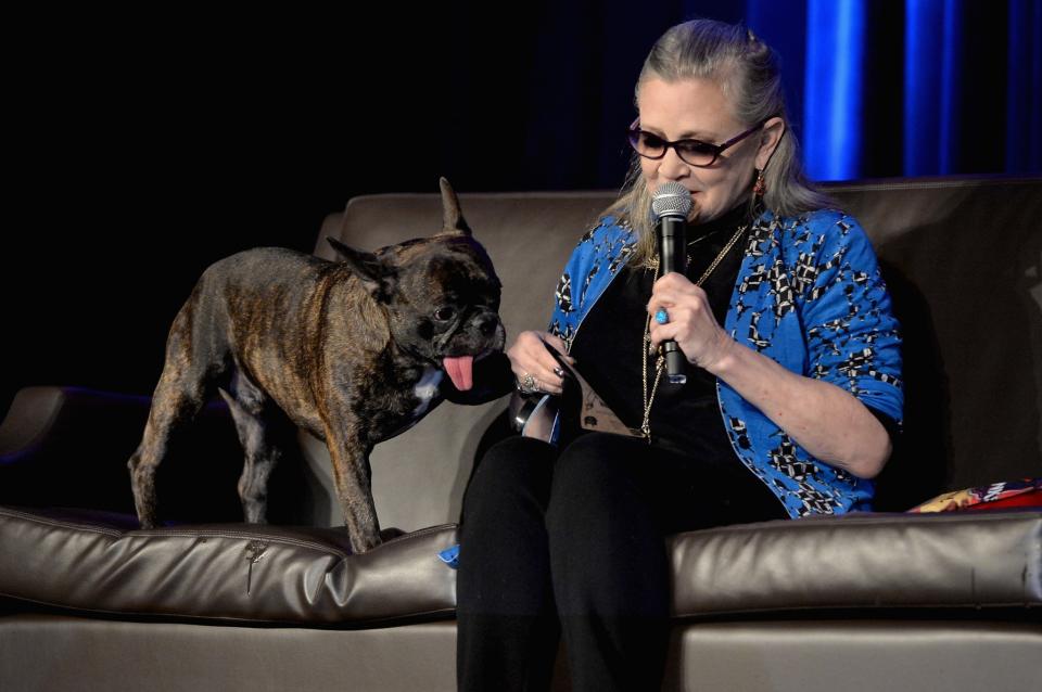 CARRIE FISHERS HUND