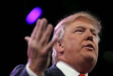 Businessman Donald Trump speaks at the Freedom Summit in Des Moines, Iowa, January 24, 2015. REUTERS/Jim Young