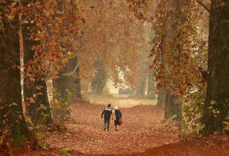 A couple walks amid fallen leaves of Chinar trees in a garden on an autumn day in Srinagar