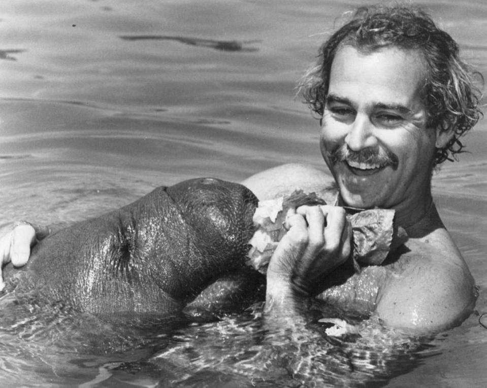 Late singer Jimmy Buffett was original co-chair of the Save the Manatee Committee, which eventually became the Save the Manatee Club.