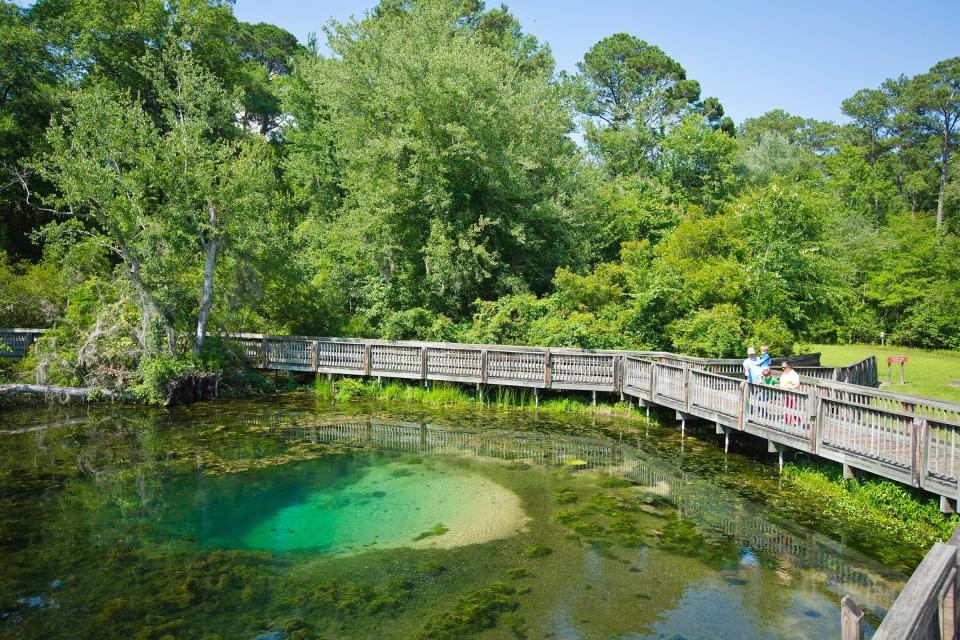 FILE - Once home to a huge Civil War POW camp, Magnolia Springs State Park in Millen, GA now draws visitors with a crystal-clear spring. This is one of many state parks library card holders can get free parking and other perks for.