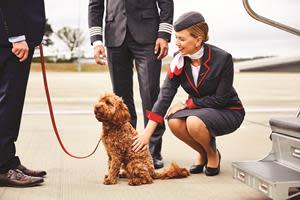 VistaJet's enhanced crew training, now for pets