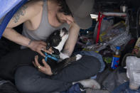 Kevin Reeves looks at his puppy while in his tent in Baker Park on Thursday, March 21, 2024, in Grants Pass, Ore. (AP Photo/Jenny Kane)