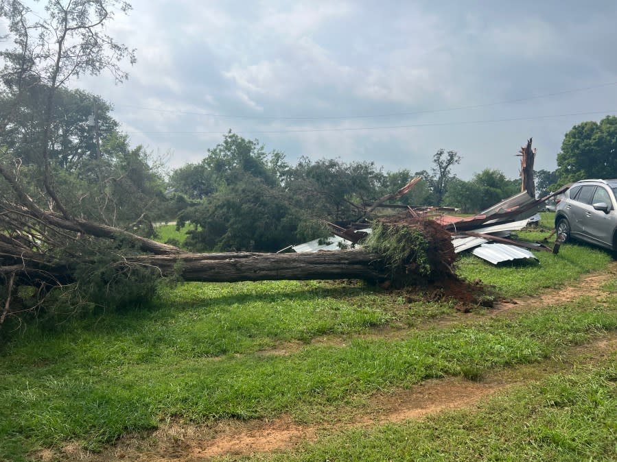 Storm damage in Henderson County