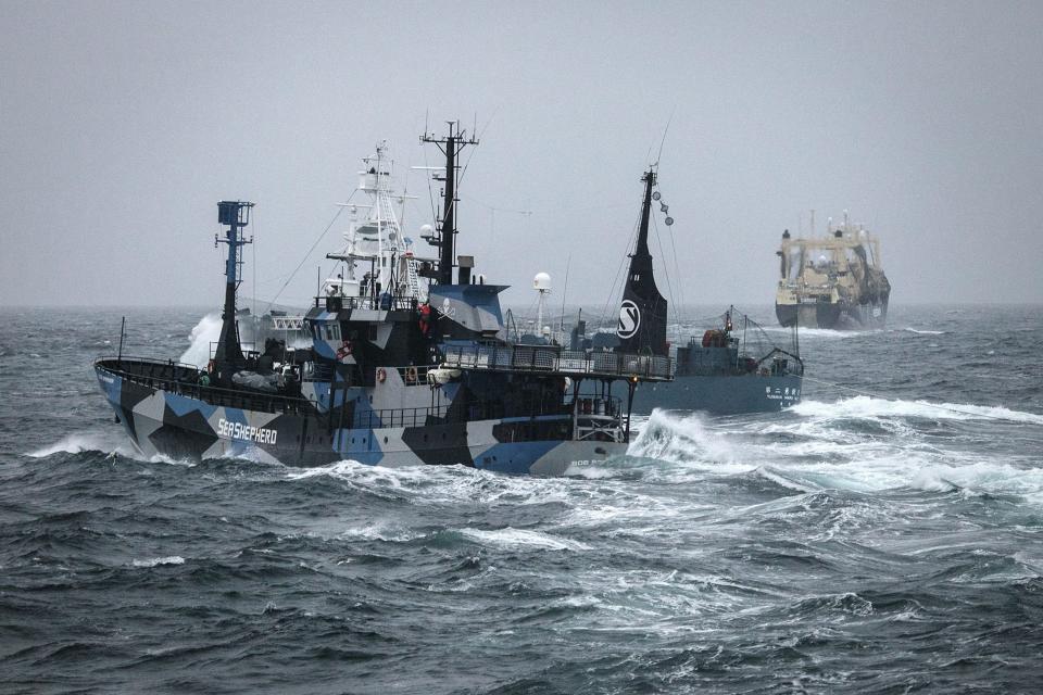 Japanese whaling ship Yushin Maru prevents the Sea Shepherd vessel Bob Barker from closing in on fellow whaling vessel Nisshin Maru in the Southern Ocean