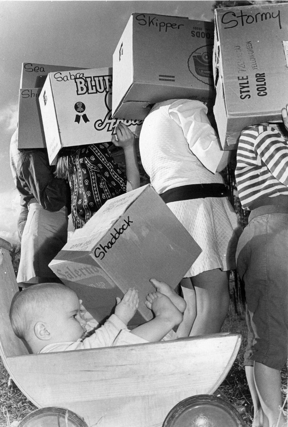 The Stipe youngsters of Dixie, Ga., raided the country store and, after much paper construction, put together their eclipse viewboxes. But 8-month-old Shad just played with his box. The family had no TV, so the viewers were their only way to catch the solar eclipse.