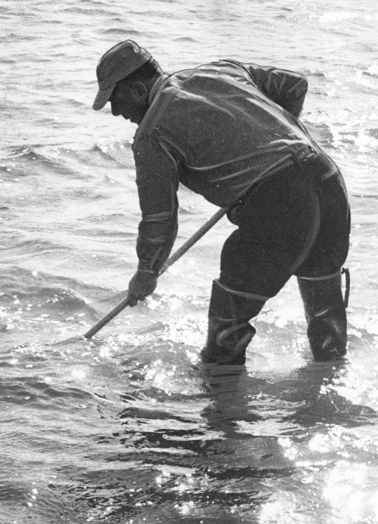 A man rakes for quahogs in 1957. The high costs of wastewater treatment to keep the Bay clean are borne by all Rhode Island households and businesses.