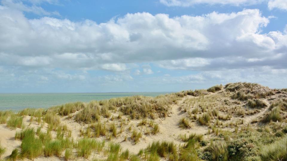 Beautiful sand dunes on the North Sea coast in Renessa, Zeeland, Holland