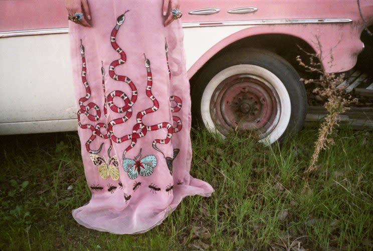 A print from the Gia Coppola x Gucci series