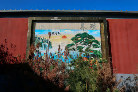 A ceramic mural is seen at a pig farm on the outskirts of Beijing, China October 30, 2017. REUTERS/Hallie Gu/Files