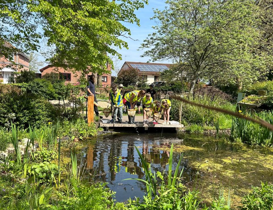 Pond-dipping