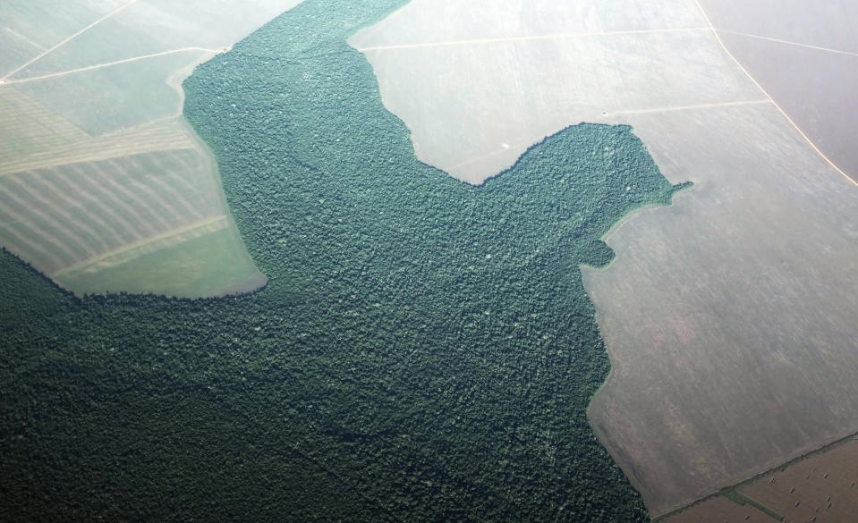 Uma vista aérea de uma seção de floresta amazônica desmatada transformada em terras agrícolas perto da cidade de Alta Floresta, estado do Pará, Brasil, 19 de junho de 2013.  (Foto: REUTERS/Nacho Doce)