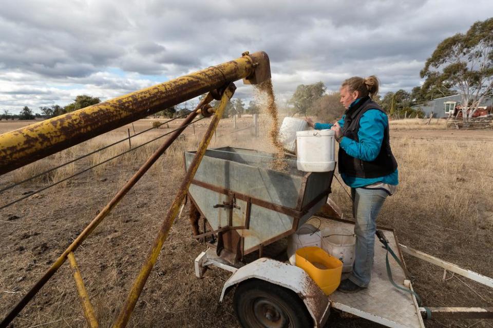 Jess Taylor at work on the family farm.