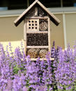<p> If you want to ensure you get plenty of guests checking into your insect hotel then there&apos;s no better advertisment than bee friendly plants growing in the vicinity. &apos;Native plants and wildflowers rich in pollen and nectar are the best for enticing bees, providing a floral buffet for them to feast on,&apos; say experts at The Greenhouse People. </p> <p> Growing the best plants for pollinators will attract bees and other insects to your garden and providing passers-by with a comfortable shelter will make them more likely to stop for an extended stay.&#xA0; </p> <p> Remember that the presence of pollinators will improve your garden no end! Our guide on how to grow a butterfly garden is packed with expert tips to help you encourage even more to your plot.&#xA0; </p>