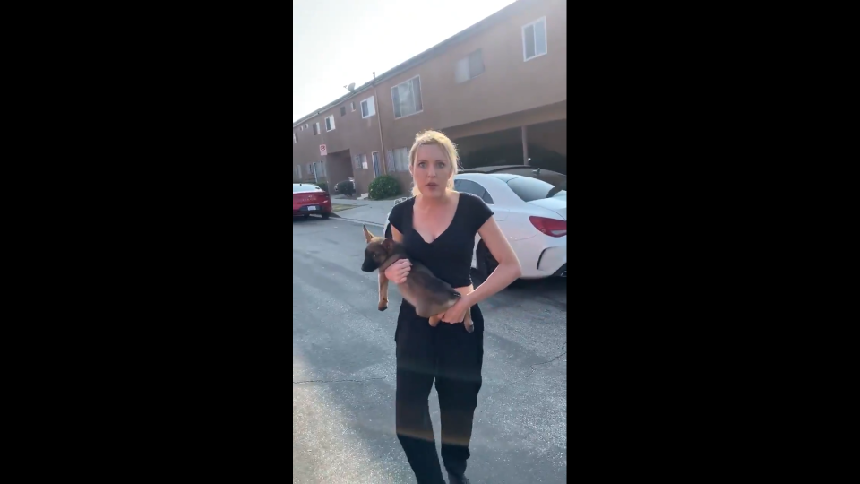 Eine nicht identifizierte Frau trägt einen Hundewelpen auf dem Arm und attackiert dabei einen schwarzen Mann. Foto: Screenshot / Twitter / Mulaflare