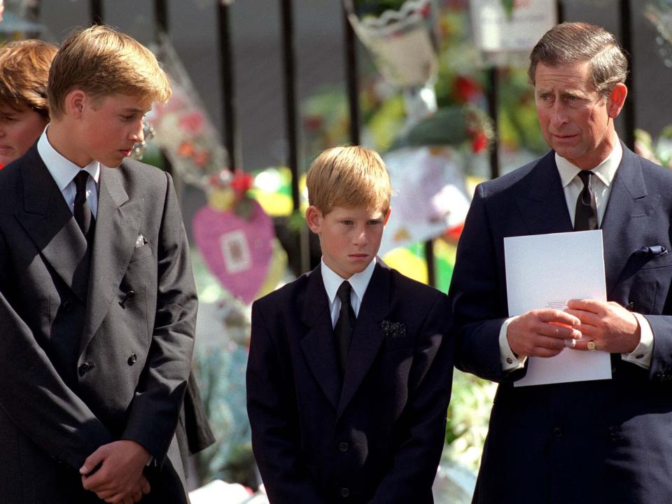 Prince William Charles and Harry 