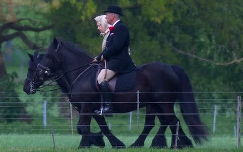  The Queen celebrates with a morning ride at Windsor Castle - Credit: Kelvin Bruce 