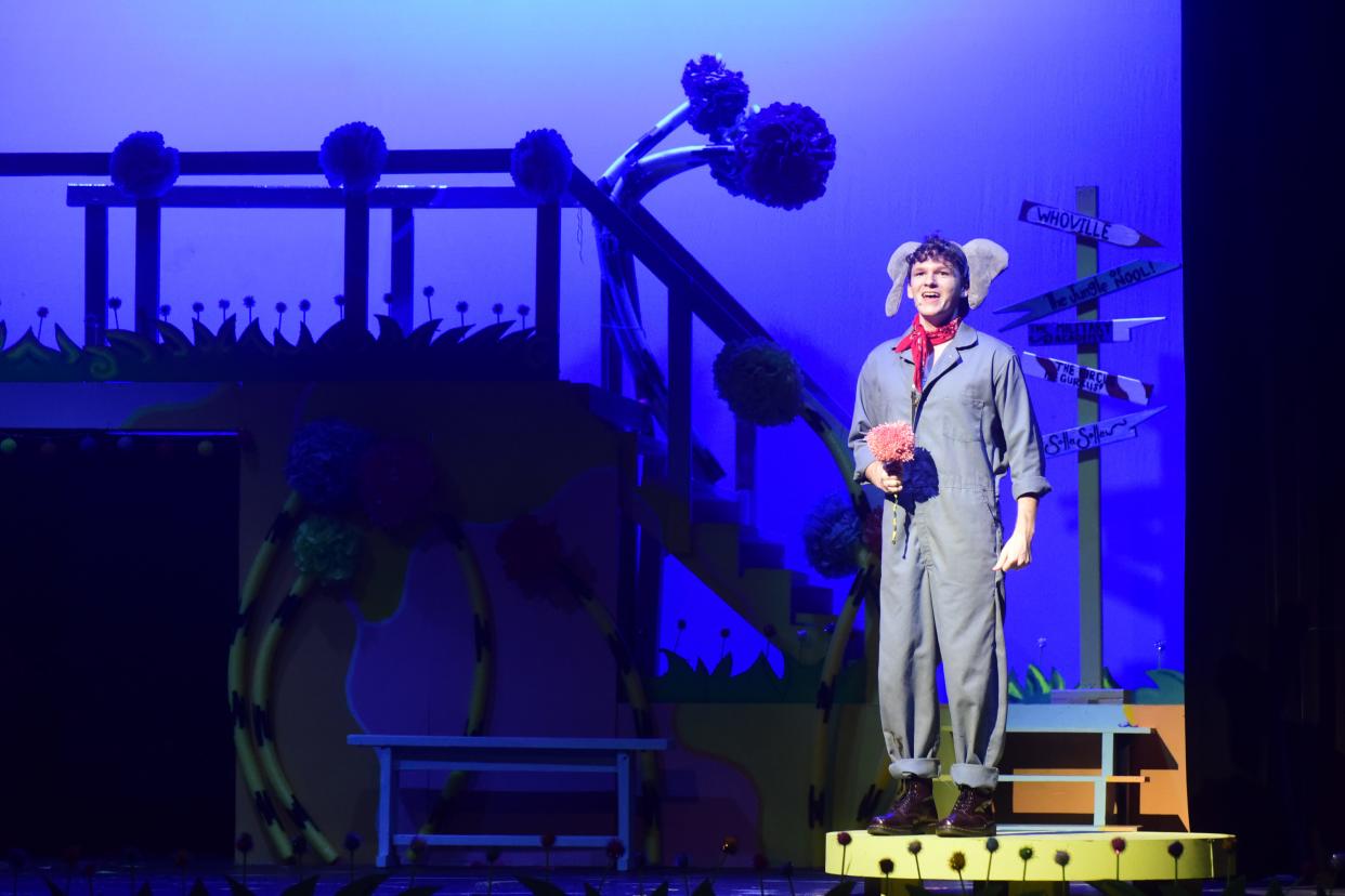 The youth production "Seussical the Musical" will entertain audiences this weekend and next at the Galion Community Theatre.