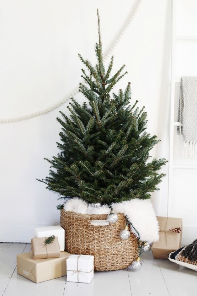 <p>The secret for this proud little guy? Put an upside-down bucket into a wicker basket before placing the tree on top. This way, the tree's bottom branches won't be scrunched.</p><p>See more at <a href="http://themerrythought.com/diy/simple-christmas-tree-display/" rel="nofollow noopener" target="_blank" data-ylk="slk:The Merrythought;elm:context_link;itc:0;sec:content-canvas" class="link ">The Merrythought</a>.</p>