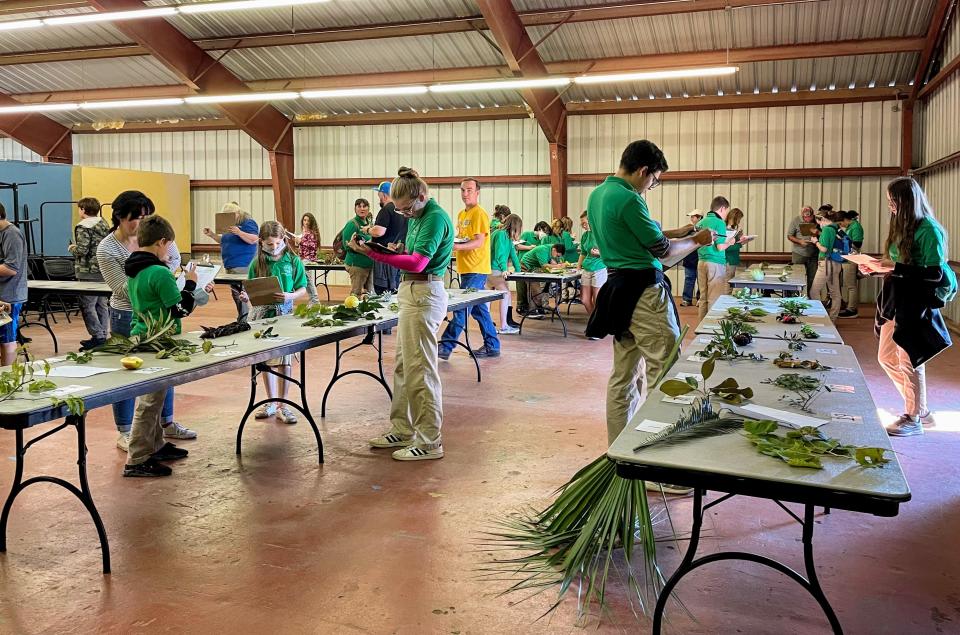 4-H members competing in the Horticulture ID Contest in the 4-H Building during the North Florida Fair.