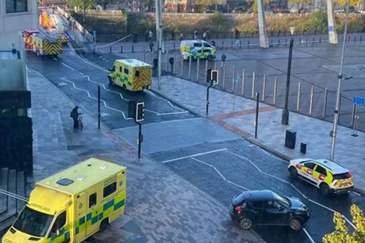 A river rescue is ongoing near Cardiff city centre  (Media Wales)