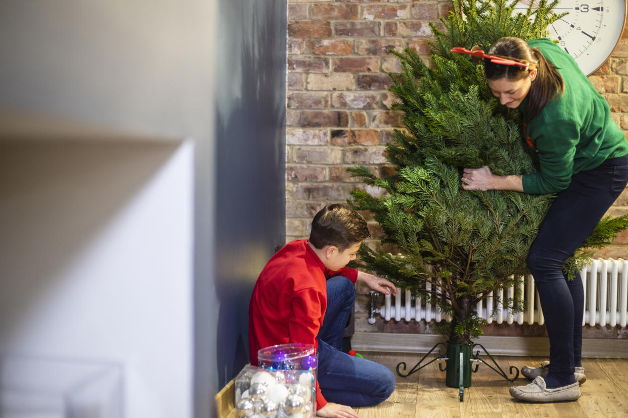 Experts recommend December 11th is the perfect time to buy a real Christmas tree. (Getty Images)