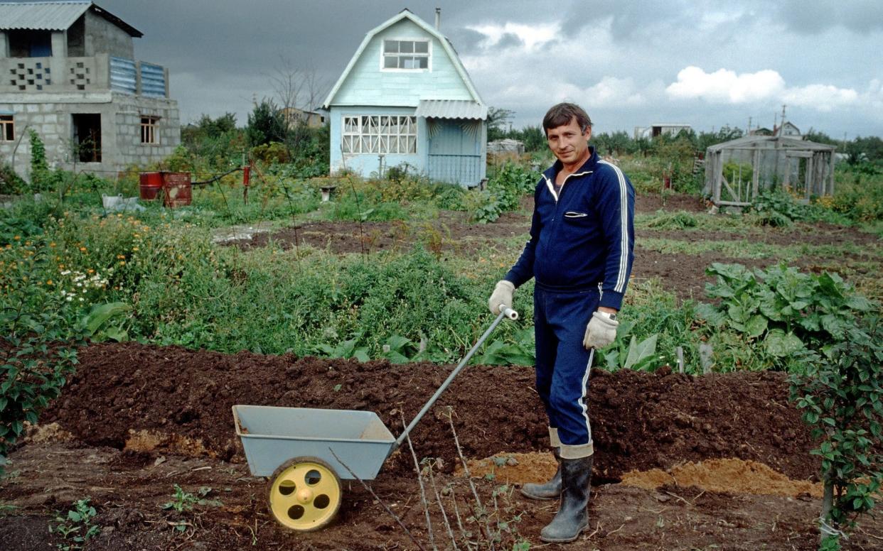 A dacha gardener, Kaliningrad, Russia - www.Alamy.com
