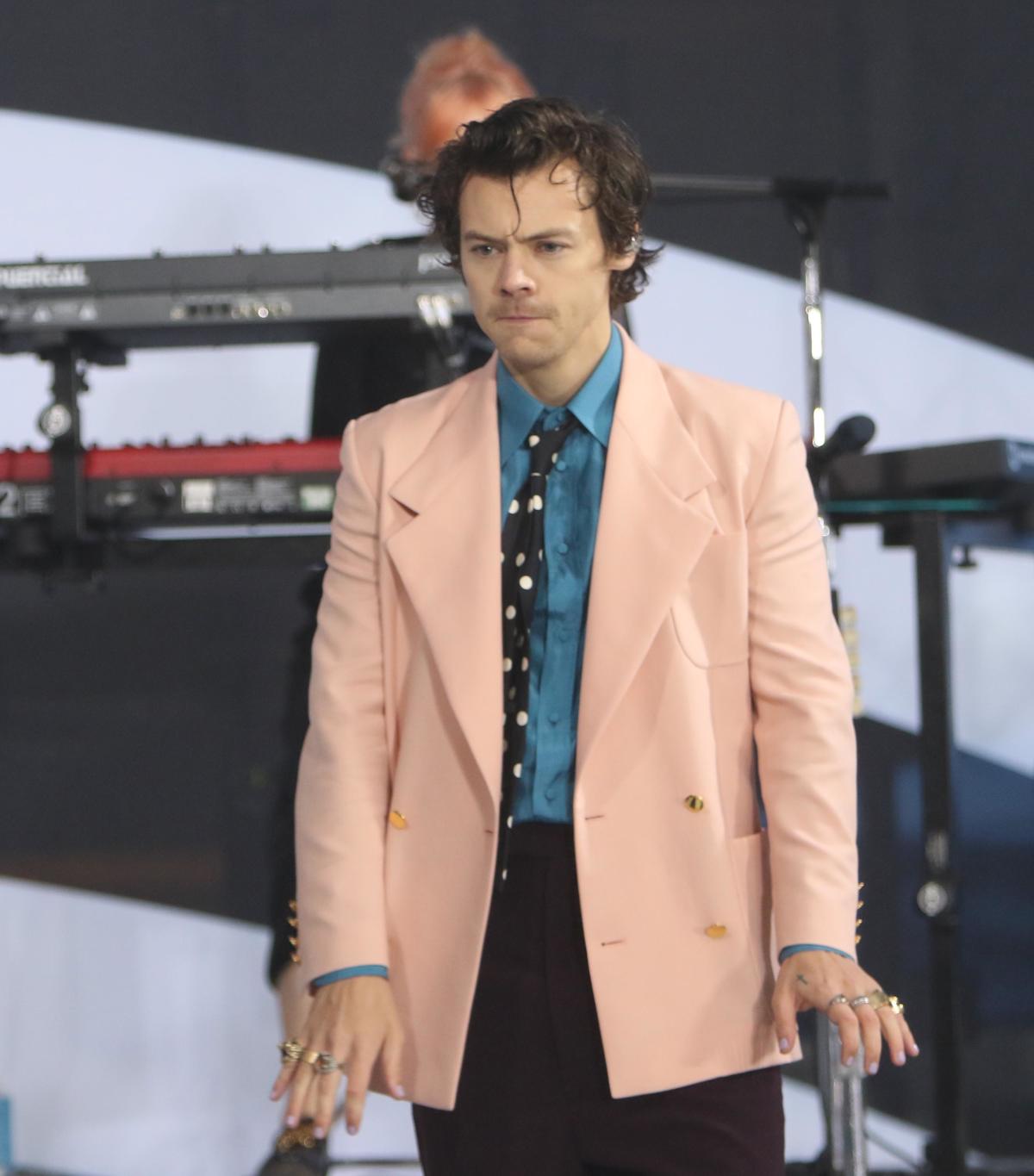 Harry Styles Stalker Hit With New Charges Over Alleged Home Break In 3798