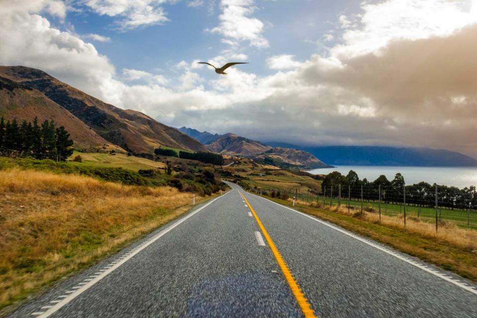 Empty road by sea against sky as bird flies over,Lake Hawea, Otago, New Zealand
