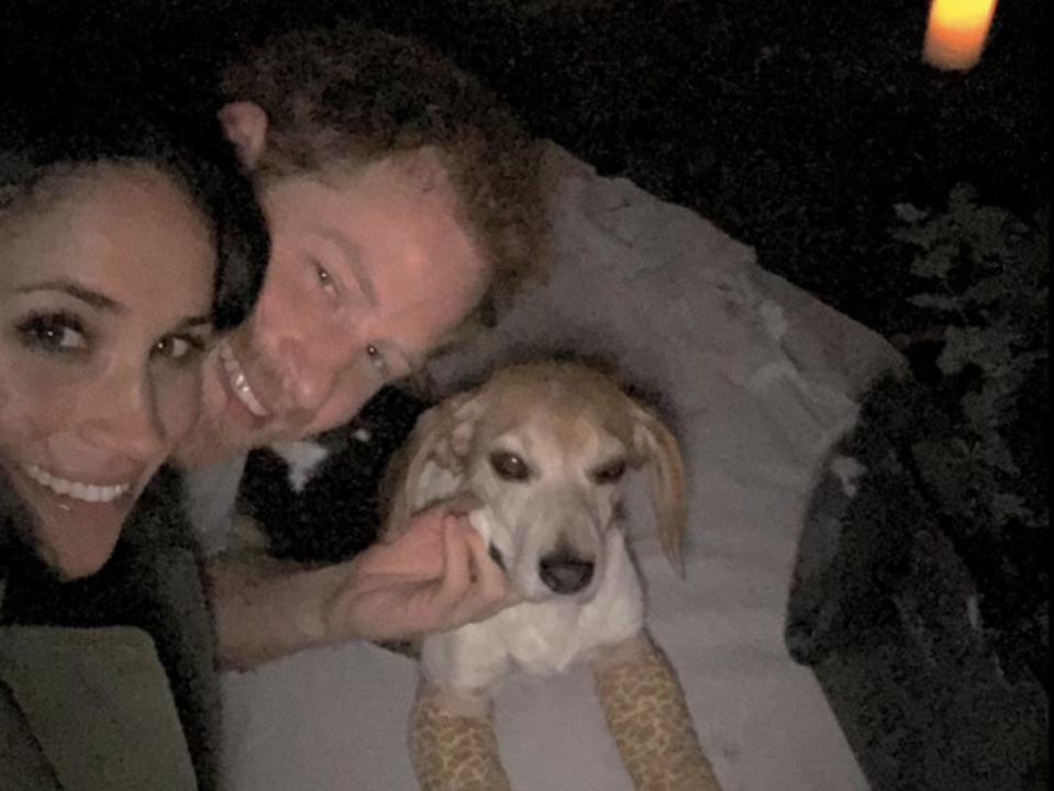 Prince Harry and Meghan Markle on a blanket with their dog after they got engaged in 2017.