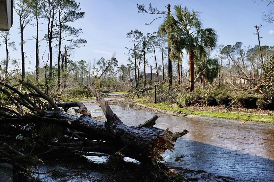 Fallen trees litter the ground after a tornado tore through a residential area of Brunswick County, N.C., Tuesday, Feb. 16, 2021, killing multiple people and injuring others in its trail of destruction. (James Lee/The News & Observer via AP)