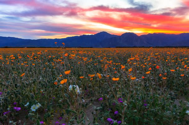 Southern California