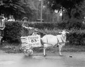 <p>Takoma Park, Md., July 4th celebration, 1922. (Photo: Library of Congress) </p>