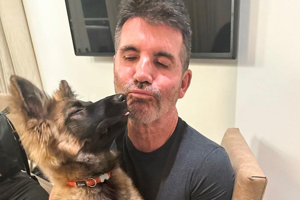 Simon Cowell Introduces New Family Dog Named Pebbles: 'Our Family Has ...