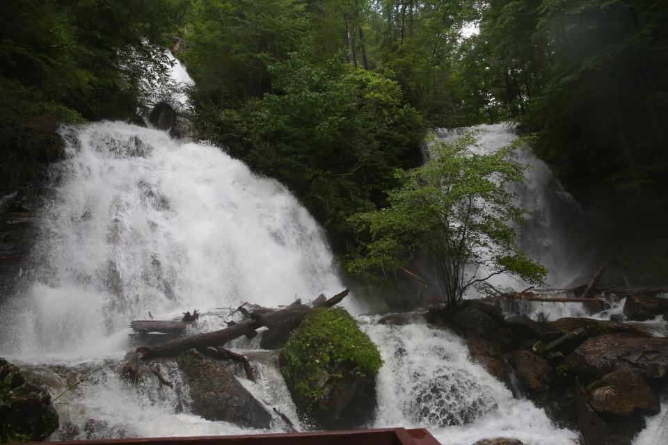 <p>Here are some more photos of Anna Ruby Falls. (Photo by <strong><a href=