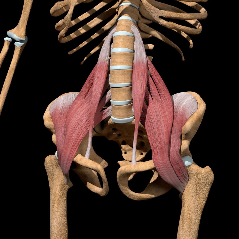 hip flexor strain