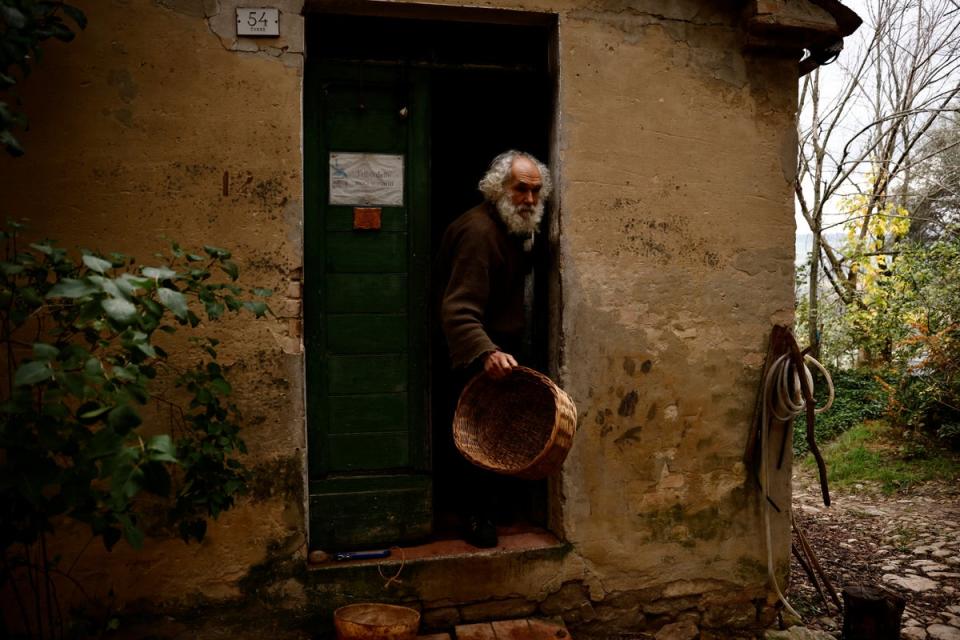 Heading out to the olive harvest (Reuters)